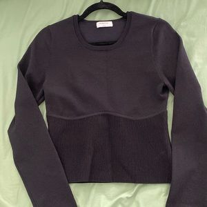 Aritzia Babaton Sculpted Top